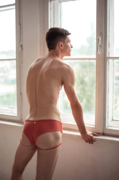 Sway Nathan Shorts - Rusty Jasper