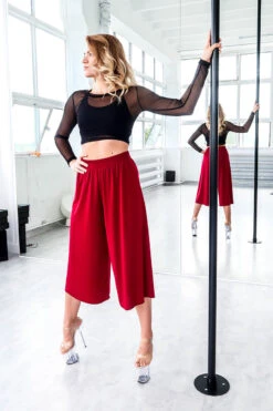 REV ACTIV Mesh Long Sleeved Crop Top - Black 7 REV ACTIV Mesh Long Sleeved Crop Top - Black -Pole Wear Shop IMG 6339 1 793feba1 083c 4f70 a3c9 3d16b9cb4dea