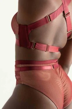 Tatiana Activewear Yuki Shorts - Burgundy Mesh -Pole Wear Shop TatianaActive YukiBurgundyMeshPoleWearSet 7734