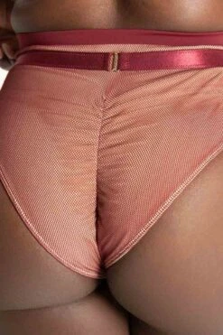 Tatiana Activewear Yuki Shorts - Burgundy Mesh -Pole Wear Shop TatianaActive YukiBurgundyMeshPoleWearSet 7744