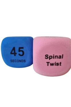 The Enviro Co. Pole Dice - Flexibility 15 The Enviro Co. Pole Dice - Flexibility -Pole Wear Shop Untitleddesign 2022 05 11T135430 798 1024x1024 2x png