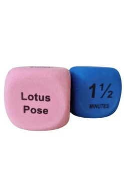 The Enviro Co. Pole Dice - Flexibility 13 The Enviro Co. Pole Dice - Flexibility -Pole Wear Shop Untitleddesign 2022 05 11T135515 059 1024x1024 2x png